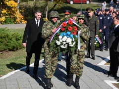 OKT_8549