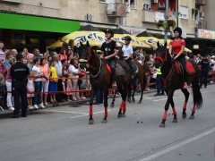 40484288_269723857198588_8412501061981437952_n