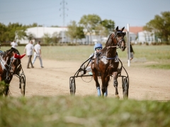 540764233_1432581001638202_2245483125083282171_n