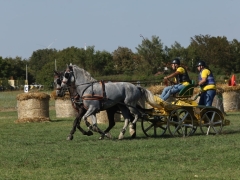 542013716_1433415664888069_7471454863952611518_n