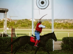 542176937_1432581281638174_7518888947981933847_n