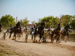 542611487_1432580574971578_8161849190538432190_n