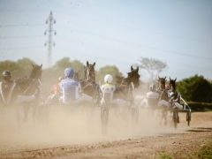 543097694_1432581561638146_3692337149809750738_n