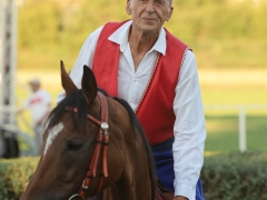 543153214_1433415874888048_8186253606345459150_n