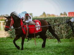 543414702_1432581108304858_3689290574150877762_n