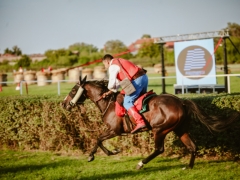 543444725_1432581544971481_1725725953382302398_n