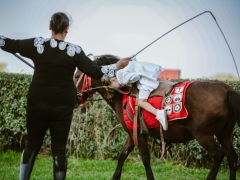 543452284_1432581151638187_3831492370633488999_n