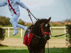 543456818_1432581238304845_2282147233958687111_n