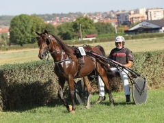 544627914_1433415424888093_239951665434245820_n