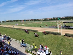 544731902_1432582101638092_4028821851514636339_n