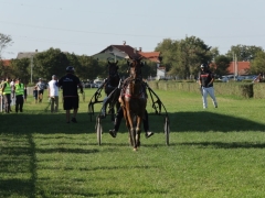 544899843_1433415701554732_3913711593059930284_n