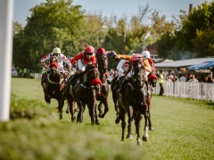 544906467_1432580551638247_3360255880280316699_n