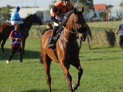 544910856_1433415408221428_694374249268489831_n