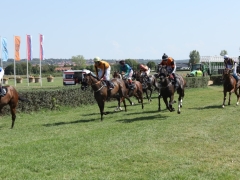 544990062_1433415551554747_4349896777169802814_n