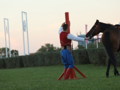 545140346_1433416018221367_7736094346696472158_n