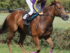 545254268_1433415491554753_8460559214649120231_n