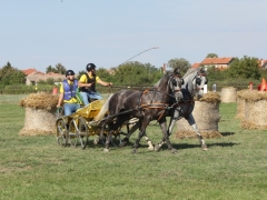 545328144_1433415624888073_4780224376286143547_n