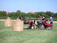 AVG_7638