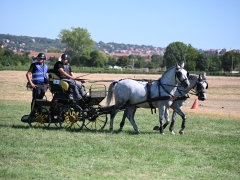 AVG_7639