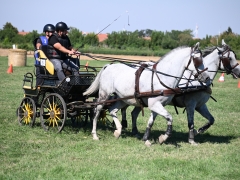 AVG_7646
