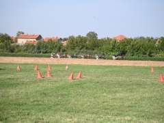 AVG_7712