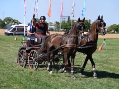 AVG_8035