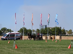 AVG_8038