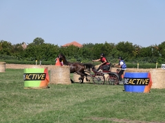 AVG_8042