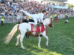 AVG_8194