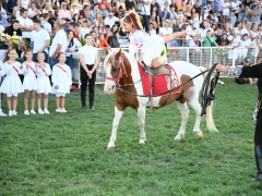 AVG_8197
