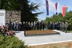 9. мај - Дан победе над фашизмом (2020)