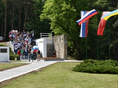 STE_1049