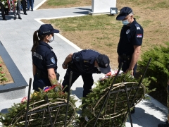 STE_1074