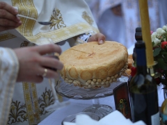 497885241_1354729949423308_8453766394582181291_n