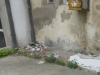dscn1361